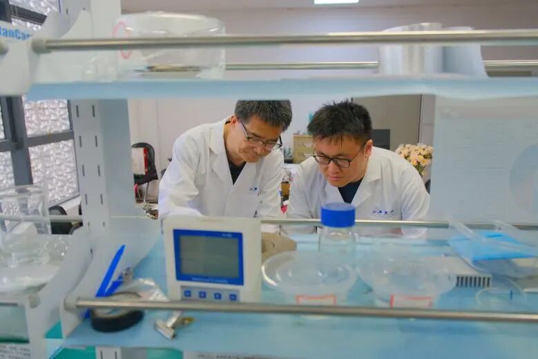 1791595780480449.jpg 微信图片_2026-10-10_092726_732.jpg